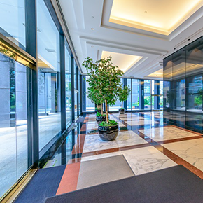 Property Maintenance