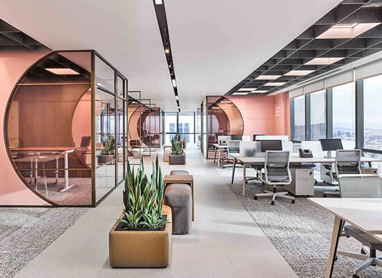 Commercial Renovation