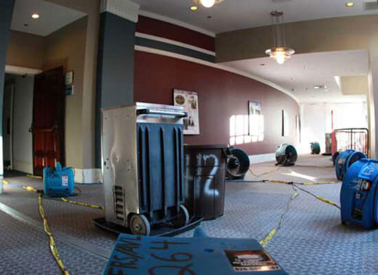 Commercial Restoration/remediation