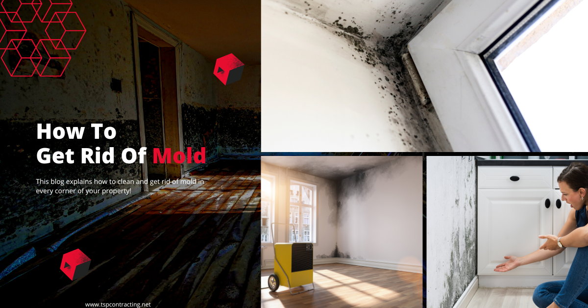 How To Clean And Get Rid Of Mold In Every Corner Of Your Property